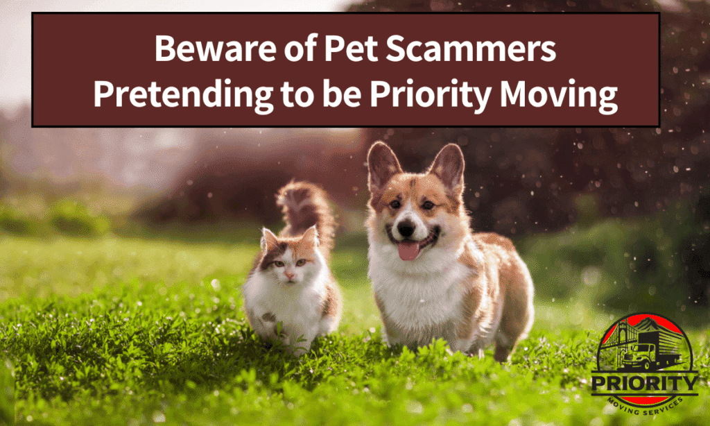Beware of Pet Scammers Pretending to be Priority Moving
