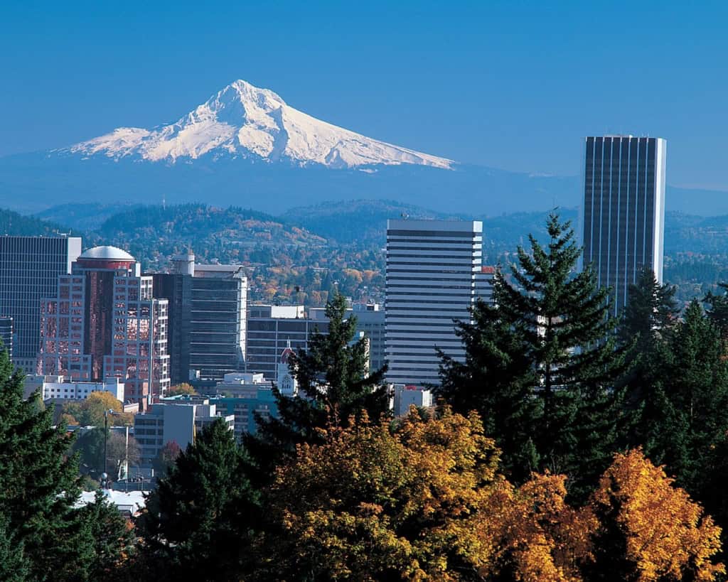 Moving Services in Portland? Look No Further than Priority Moving!