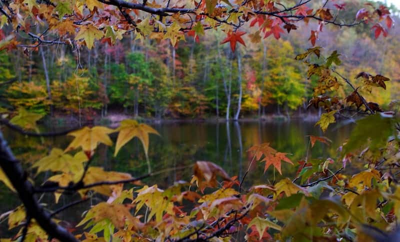 When is the Best Time of Year to Move? Pros & Cons of Each Season