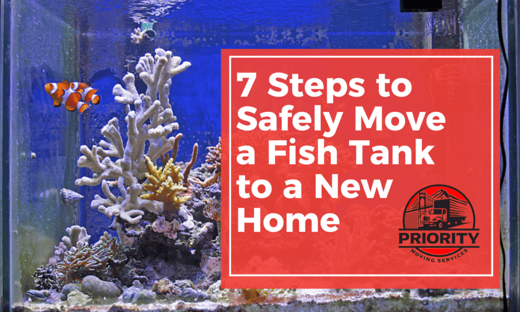 7 Steps to Safely Move a Fish Tank to a New Home