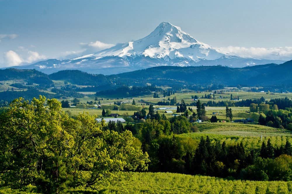 Hillsboro Neighborhoods Guide: Where to Live in Hillsboro, OR